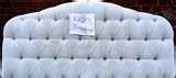 Bed Bugs By State Ranking pictures