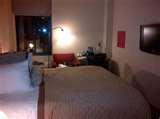 Bed Bugs Wyndham images