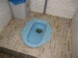 Bed Bugs Vietnam