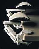 images of Bed Bugs Muscle Pain