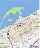 Bed Bugs Problem photos