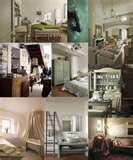 photos of Bed Bugs O2