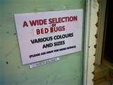 Bed Bugs Car images