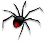pictures of Bed Bugs Zits