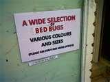 images of Bed Bugs Car