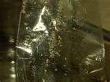 Bed Bugs Peroxide pictures
