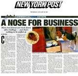 Bed Bugs Registry For New York images