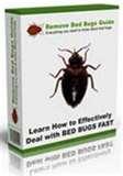 images of Bed Bugs Peroxide