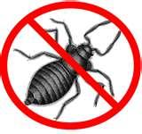 Bed Bugs Herbs images