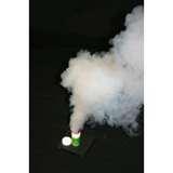 pictures of How Fast Can Bed Bugs Multiply