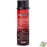 photos of Kill Bed Bugs Eggs