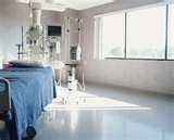 Bed Bugs Peroxide