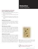 images of How To Treat Bed Bugs Effectively