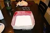 photos of Bed Bugs Dry Ice Trap