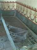 photos of Bed Bugs Sleep Tight