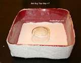 pictures of Bed Bugs Dry Ice Trap
