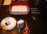 photos of Bed Bugs Dry Ice Trap