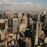 Bed Bugs Outbreak New York photos