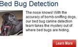 Bed Bugs Legislation