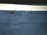 Pictures Of Bed Bugs Eggs photos