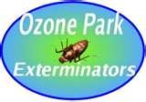 Bed Bugs Ozone Park images Bed Bugs Ozone Park images
