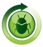 images of Bed Bugs Westchester County