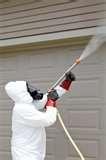 Bed Bugs Westchester County photos