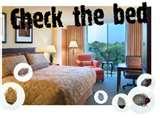 Bed Bugs Abc News pictures