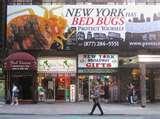New York Bed Bugs Epidemic photos