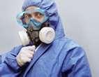Eradicating Bed Bugs Uk images