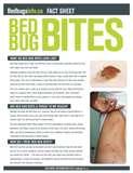 images of Bed Bugs Ointment