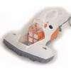 Eradicating Bed Bugs Uk pictures