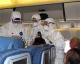 pictures of Bed Bugs Uruguay