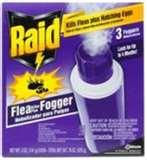 Bed Bugs Punta Cana pictures