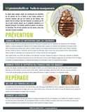 Bed Bugs Urdu pictures