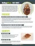 pictures of Bed Bugs Urdu
