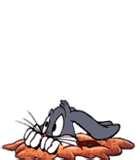 My Bed Bugs Tv Show images