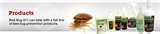 images of Bed Bugs 911