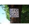 Bed Bugs Ns