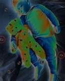 Bed Bugs Weakness