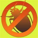 Bed Bugs Oh Bed Bugs Oh