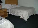 photos of Bed Bugs Virgin Islands
