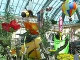 pictures of Bed Bugs Bellagio