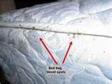 images of Bed Bugs Prevention Hotels