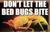 Bed Bugs Louisiana