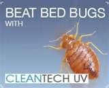 Bed Bugs Uv photos