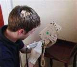 Bed Bugs Of London photos
