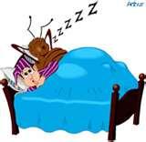 pictures of Bed Bugs Musical