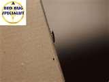 Bed Bugs Ambulance images