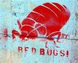 Bed Bugs To The Naked Eye